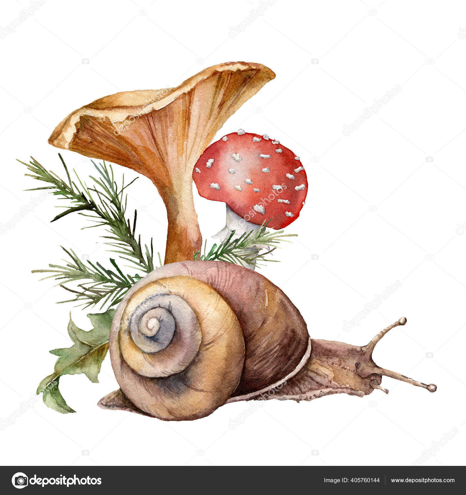 いろいろ 秋の植物 イラスト 秋の植物 イラスト