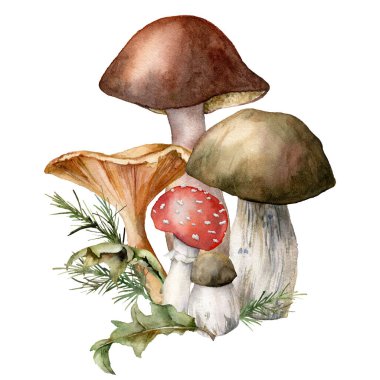 Mantarlı suluboya sonbahar kompozisyonu. Beyaz arka planda elle boyanmış manita muscaria, chanterelle ve boletus. Tasarım, baskı veya arkaplan için Botanik Ormanı illüstrasyonu.