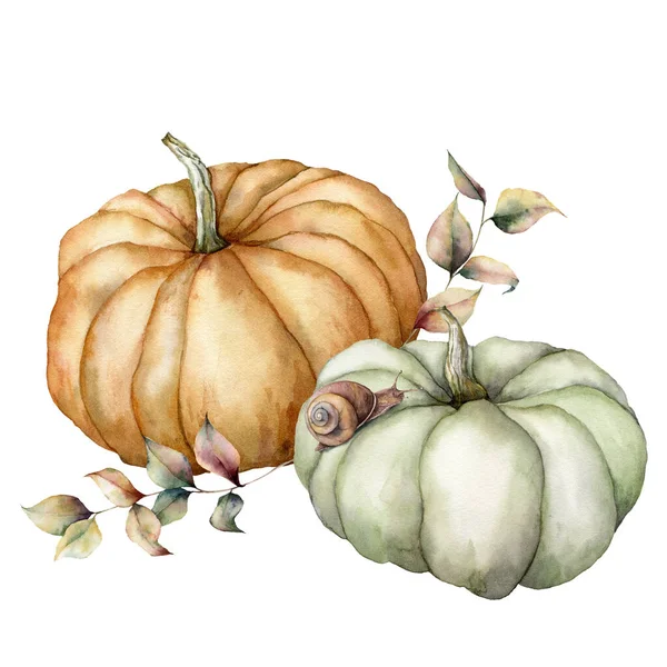 Watercolor pumpkins, leaves and snail composition. Hand painted gray and orange gourds isolated on white background. Autumn harvest festival. Botanical illustration for design, print or background. — Stock Photo, Image