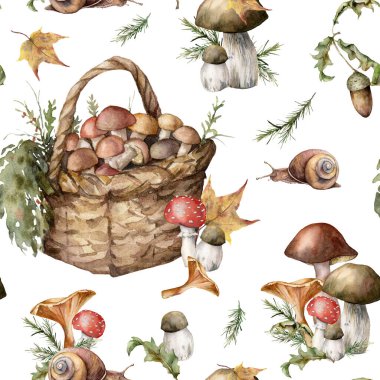 Mantarlı, sepetli ve salyangozlu suluboya sonbahar desenli. El boyaması Amanda Muscaria, chanterelle, beyaz arka planda izole edilmiş boletus. Tasarım, yazdırma veya arkaplan çizimi.