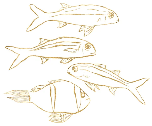 Vannfarget lineær undervannsfarve med gullfisk. Håndmalt tunfisk, makrell, laks på hvit bakgrunn. Oseanisk illustrasjon for utforming, trykk, stoff eller bakgrunn. – stockfoto