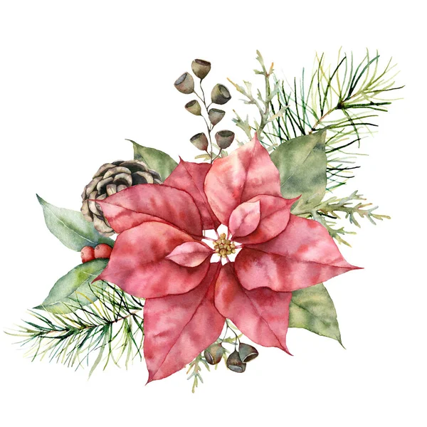Υδατογραφία Χριστουγεννιάτικη μποκέ με πουανσέτα, κώνο και μούρα. Ζωγραφισμένο στο χέρι φυτό διακοπών με πευκοβελόνες και φύλλα που απομονώνονται σε λευκό φόντο. Χειμερινή απεικόνιση για σχεδιασμό, εκτύπωση, φόντο. — Φωτογραφία Αρχείου