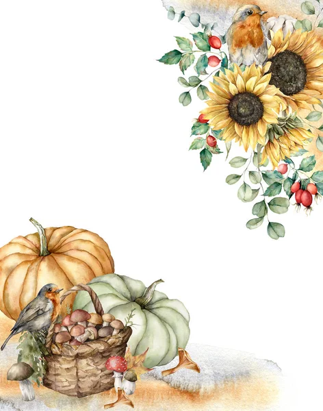 Akvarell őszi kompozíció vörösbegy, tök, kosár, napraforgó és bogyók. Kézzel festett rusztikus kártya elszigetelt fehér háttér. Virágillusztráció tervezés, nyomtatás, szövet vagy háttér számára. — Stock Fotó