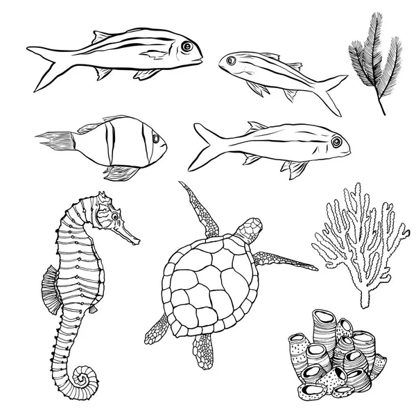 เวกเตอร์ภายใต้น้ํา ชุดที่เรียบง่ายกับสัตว์ศิลปะบรรทัด ปลาที่ทาสีด้วยมือ, เต่า, ม้าทะเลและภาพประกอบปะการังแยกจากพื้นหลังสีขาว ภาพวาดทางน้ําสําหรับการออกแบบ, การพิมพ์,พื้นหลัง . — ภาพเวกเตอร์สต็อก