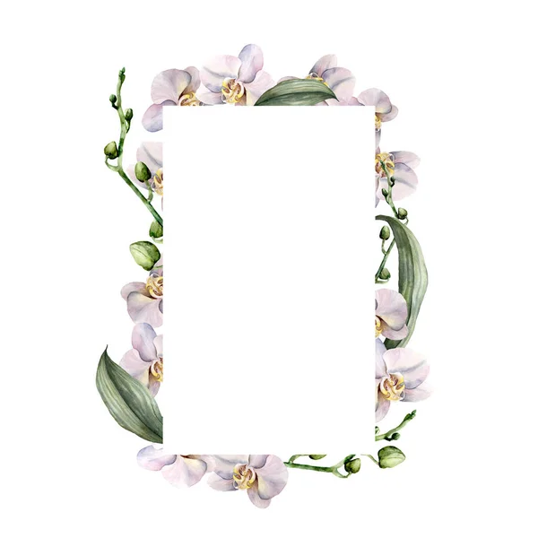 Akvarell függőleges keret fehér orchideával. Kézzel festett trópusi határ virágok, levelek és rügyek elszigetelt fehér háttér. Virágillusztráció tervezés, nyomtatás, háttér. — Stock Fotó