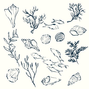Deniz yosunu ve balıklardan oluşan vektör mercan resifleri. Beyaz arka planda izole edilmiş su altı doğrusal çizimi. Tasarım, baskılar, kumaş veya arkaplan için