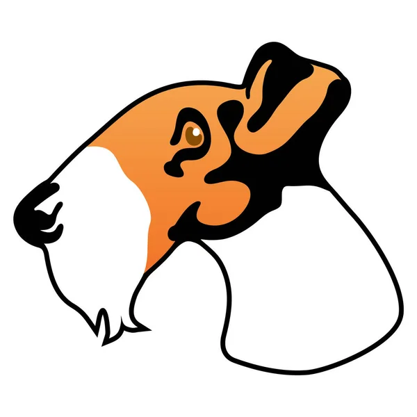 Beyaz arkaplanda Fox terrier resmi