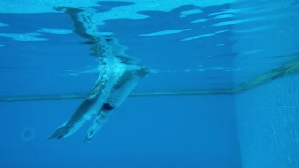 Homem Mergulha Nada Debaixo Água Bolhas Flutuam Para Superfície Piscina — Vídeo de Stock