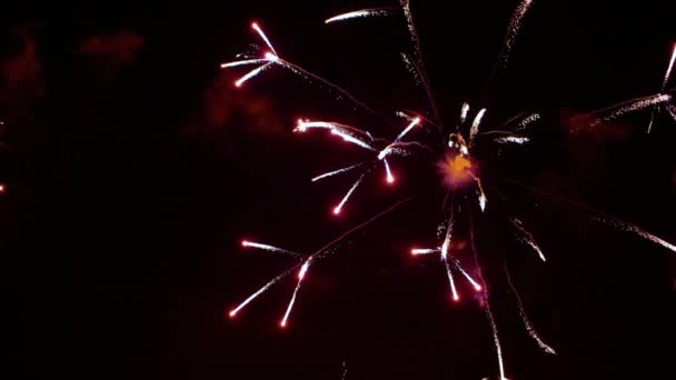 节日盛大的焰火节的背景下的夜空 多彩的运动模糊了火焰的飞溅 — 图库视频影像