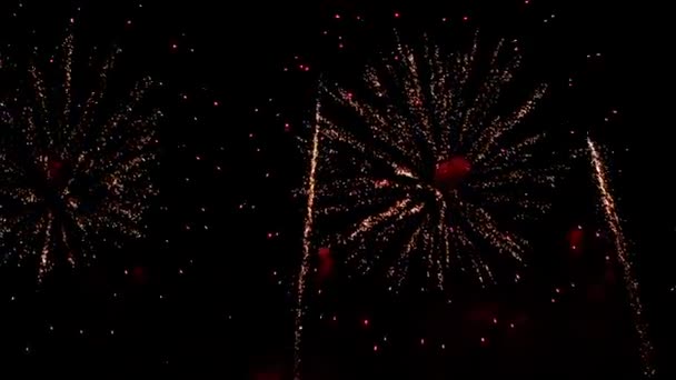 夜空の背景にお祝いの壮大な花火大会 色とりどりのモーションブラーは火の飛沫 — ストック動画