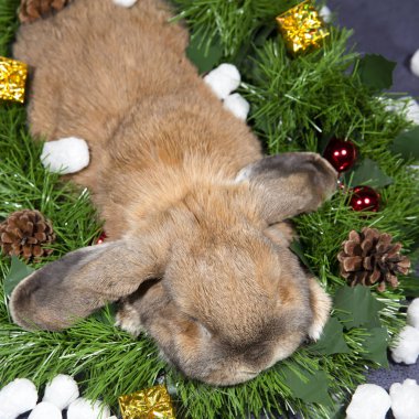 Yapay kar ile yeni yıl tarzında dekore edilmiş bir arka plan üzerinde ev dekoratif tavşan. Noel süsleri çam kozalakları ve hediyeler ile gelin teli ile. Noel ve yeni yıl tatilleri.
