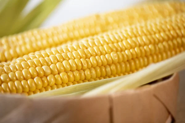 Kolf Rijpe Gesneden Maïssuiker Ligt Een Rieten Mandje Gele Maïskorrels — Stockfoto