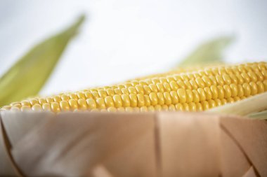 Olgun kesilmiş mısır şekeri koçanı hasır bir sepette yatıyor. Sarı mısır taneleri.