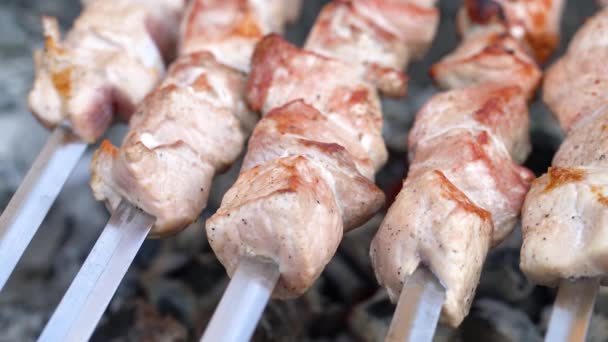 Cocinar Kebabs Carne Aire Libre Cocinar Carbón Asar Fuera Ciudad — Vídeos de Stock