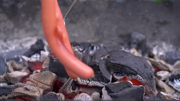 烹饪香肠的热狗户外 夏天在城外用木炭和烤肉做饭 — 图库视频影像