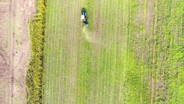 Tractor Produce Cosecha Campo Mostaza Flores Amarillas Greenfield Fotografía Aérea — Vídeos de Stock