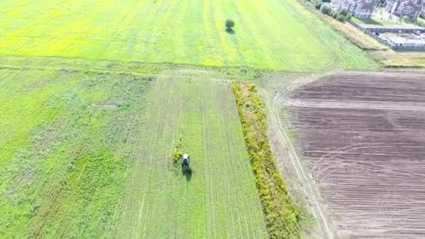 Trekker Produceert Oogst Het Mosterd Veld Gele Bloemen Greenfield Luchtfotografie — Stockvideo