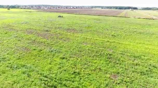 拖拉机在芥末田里产收获 黄花绿地 无人机的航空摄影 — 图库视频影像