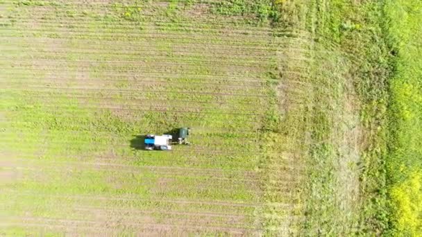 トラクターはマスタード分野の収穫を作り出す 黄色い花の緑のフィールド ドローンからの航空写真 — ストック動画