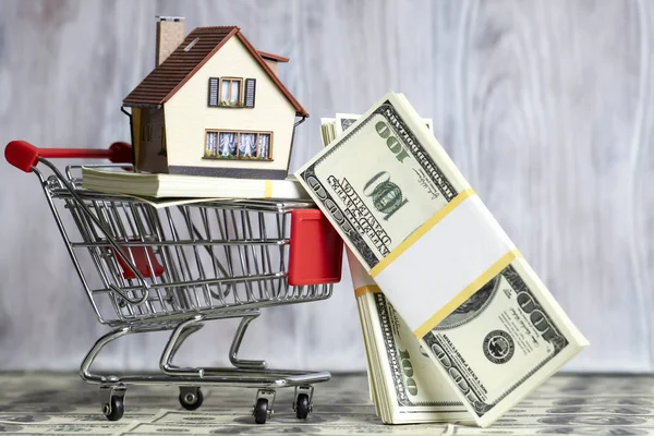 Evin küçük bir kopyası alışveriş sepetinde yatıyor. Bir paket h