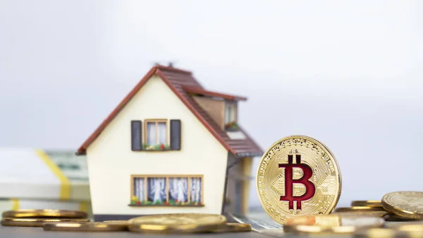 Kripto para birimi Bitcoin sikkesi. Altın sikke ve yüz paketleri