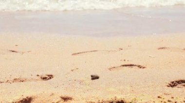 Karadeniz 'in kumlu sahillerinde insanların ayak izleri. İnsanlar deniz kıyısında yürür. Güneşli hava.