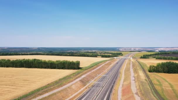 Повітряна Фотографія Сільськогосподарських Полів Росії Чудовий Вид Дорога Вздовж Поля — стокове відео