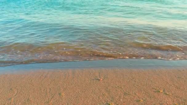 Ondas Costa Arenosa Mar Negro Tempo Ensolarado — Vídeo de Stock