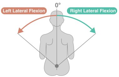 Torakolumbar Omurga ve Bagaj Hareket Aralığı (ROM) Resimleri