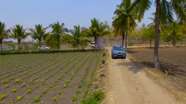 Luchtfoto Bijhouden Van Personenauto Passeren Weg Van Schilderachtige Platteland India — Stockvideo