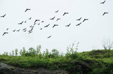 Manzaralı hills Dağları