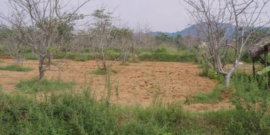 Güzel manzaralı hills Dağları