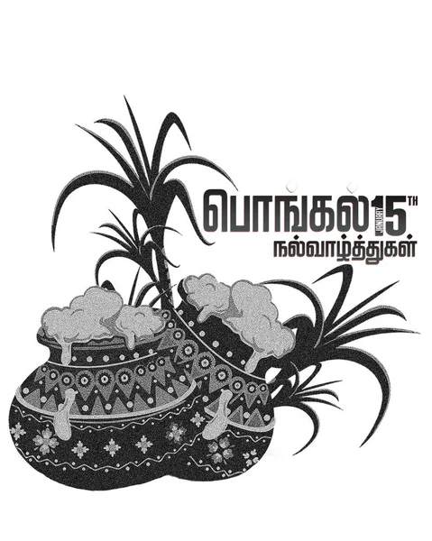 Boldog Pongal Lefordítani Tamil Szöveg Fehér Háttér — Stock Fotó
