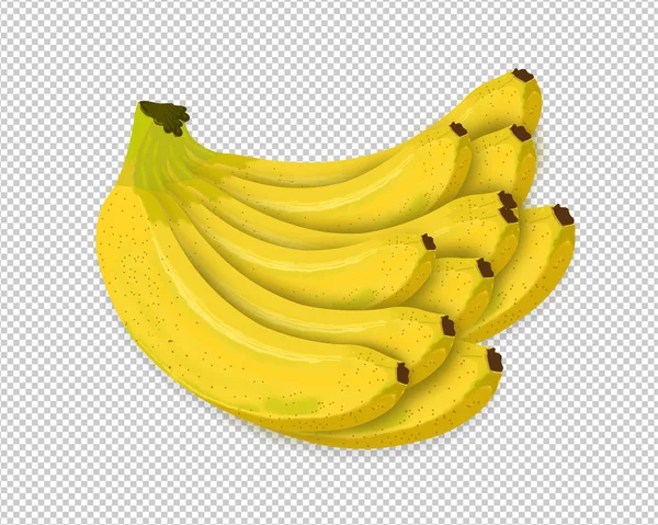 Fruta Del Plátano Cerca Manojo Plátanos Aislados Sobre Fondo Blanco — Foto de Stock