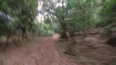 Orman Pov çalışan ve hillside, korku ve gerilim kavramı arama