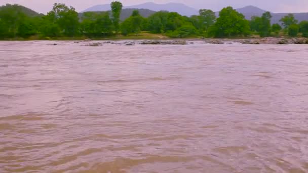 Natura Bellissimo Fiume Acqua Ambiente Selvaggio Foresta Giungla India Viaggio — Video Stock