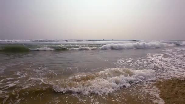 Havets Vågor Stranden Indien — Stockvideo