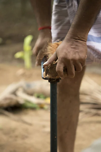 Uomo guscio di cocco aperto dal vecchio coltello, Come pelare il cocco in stile India . — Foto Stock
