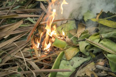 Baharda bahçede yanan kuru otlar, yakın ateş.
