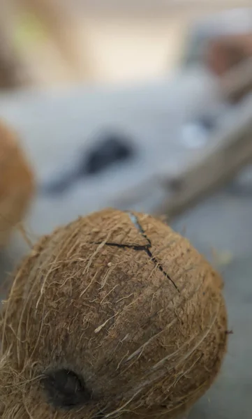 Close-up tiro de Foco em coco estourando no chão — Fotografia de Stock