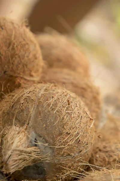 Egy halom lefejtett kókuszdió Cocos — Stock Fotó