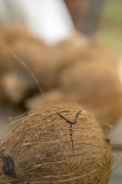 Close-up tiro de Foco em coco estourando no chão — Fotografia de Stock