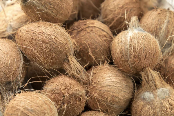 Matéria-prima de grupo de coco para fazer alimentos e bebidas, frutas tópicas — Fotografia de Stock