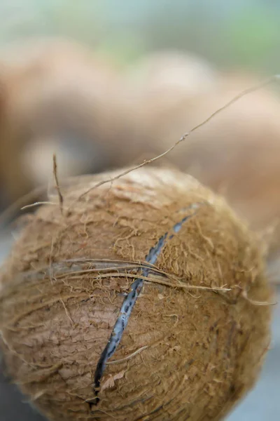 Nahaufnahme von Fokus auf Kokosnuss, die auf dem Boden platzt — Stockfoto