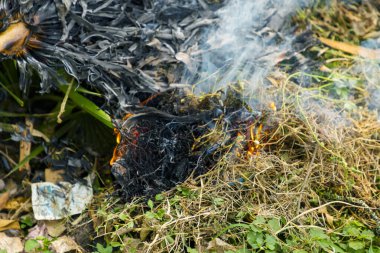 Yanan dalları büyük bir yığın ve duman yaprakları.