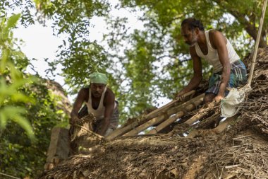 Chennai, Hindistan - 17 Ağustos 2019: Çatı tamiri sırasında geleneksel kulübenin çatısında dengede duran adam