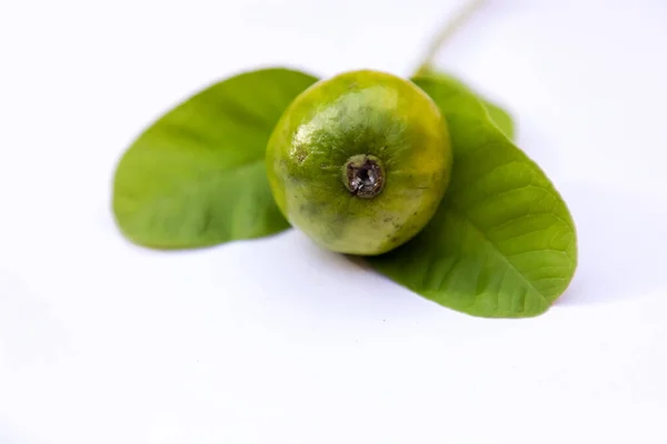 fresh guava fruit on guava green leaf with white background. fresh guava fruit on white background.
