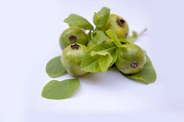 과 바 열매는 흰 바탕으로 분리되어 있고 과 바 열매는 분리되어 있고 구아바 잎은 분리되어 있다. — 스톡 사진