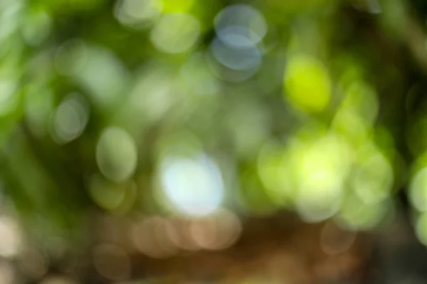 Zielony bokeh tło, zielony bokeh, zielony bokeh abstrakcyjny — Zdjęcie stockowe