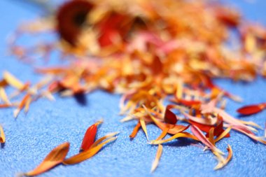 Açık mavi arka planda renkli çiçekler. Üst Görünüm